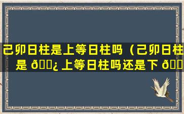 己卯日柱是上等日柱吗（己卯日柱是 🌿 上等日柱吗还是下 🐱 等）